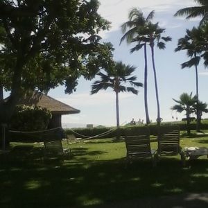 Meet your Posher, Carol